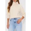 Vici Collection Moonlit Rib Turtleneck Sweater In Neutral