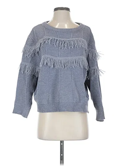 Pre-owned Vici Pullover Sweater In Blue
