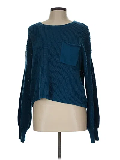Pre-owned Vici Pullover Sweater In Blue