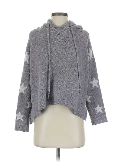 Pre-owned Vici Pullover Sweater In Gray