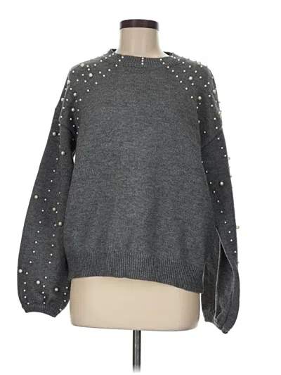 Pre-owned Vici Pullover Sweater In Gray