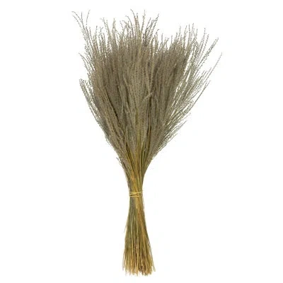 Vickerman 0.125 Plant In Cream