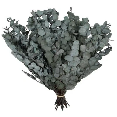 Vickerman 0.25 Plant In Green