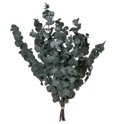 Vickerman 0.25 Plant In Green