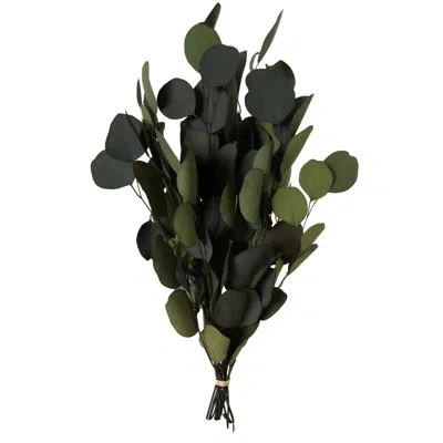 Vickerman 0.25 Plant In Green