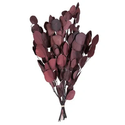 Vickerman 0.25 Plant In Red