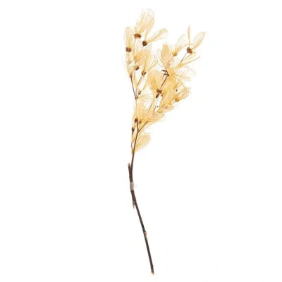 Vickerman 1 Plant In Cream