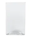 Vickerman 10" Clear Glass Pill Shapped Container In Clear