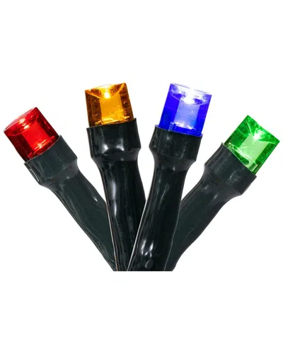 Vickerman 100 Led Multi-colored Battery Operated Light Set In Black