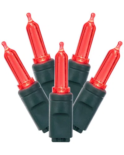 Vickerman 100 Red Italian Led Single Mold Light In Multi