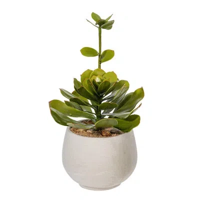 Vickerman 14.5 Plant In Purple