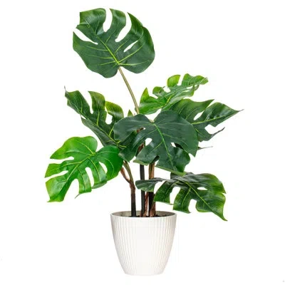 Vickerman 18 Plant In Green