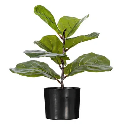 Vickerman 18.5 Plant In Green