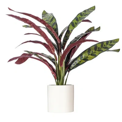 Vickerman 18.9 Plant In Green