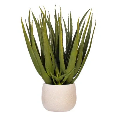 Vickerman 19.5 Plant In Green