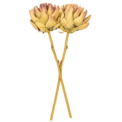 Vickerman 21.5" Light Brown Protea Stem 2/bag 21.5 Plant In Purple,green
