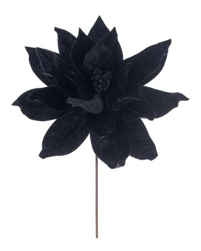 Vickerman 21.5in Black Poinsettia Stem, Set Of 2