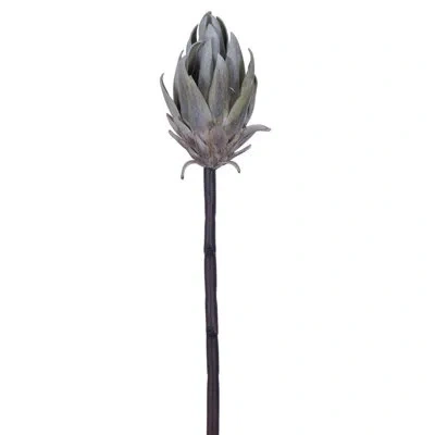 Vickerman 22" Grey/green Protea Stem 2/bag Arrangement In Gray,green