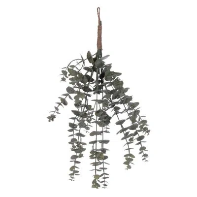 Vickerman 22 Plant In Multi