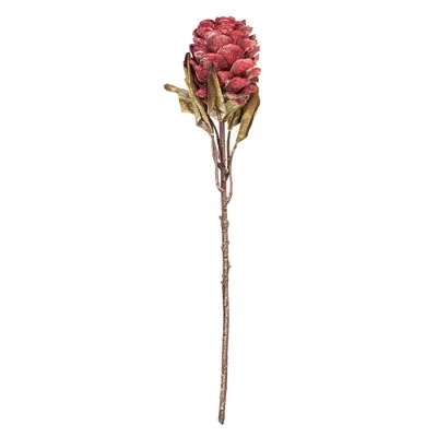 Vickerman 22 Plant In Red