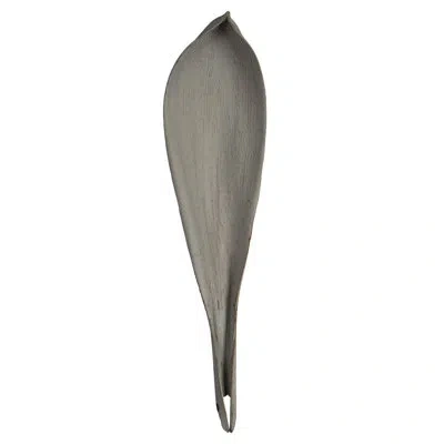 Vickerman 24 Plant In Gray