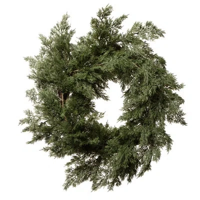 Vickerman 24" Polyethylene (pe) Wreath In Green