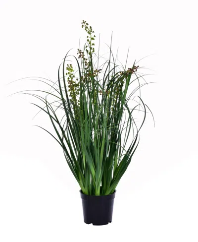 Vickerman 24" Pvc Artificial Potted Green Sheep's Grass And Plastic Grass In No Color