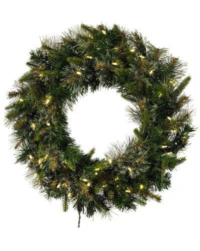 Vickerman 24in Cashmere Artificial Christmas Wreath With Warm White Dura-lit  Led Lights In Green