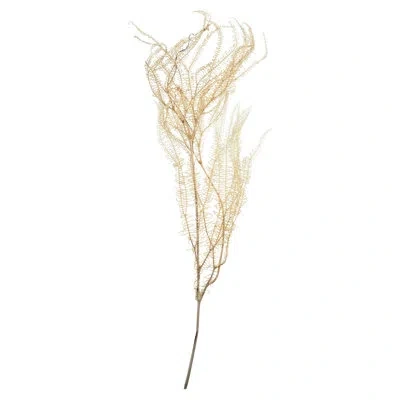 Vickerman 26 Plant In Cream