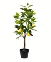 Vickerman 28" Artificial Potted Lemon Tree In Green