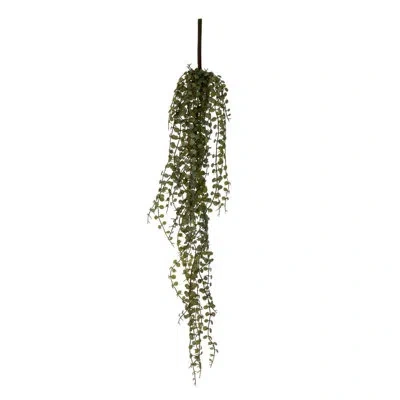 Vickerman 28 Plant In Green