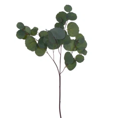 Vickerman 28 Plant In Green