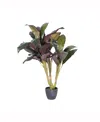 Vickerman 30" Artificial Real Touch Dracaena In No Color