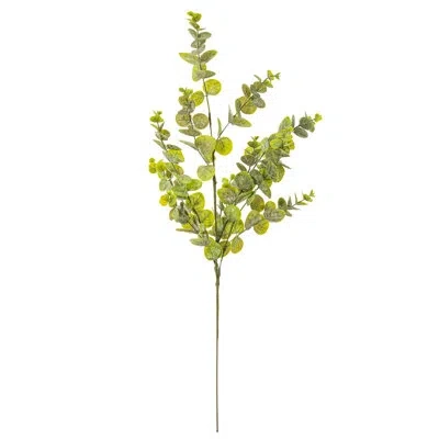 Vickerman 34 Plant In Green