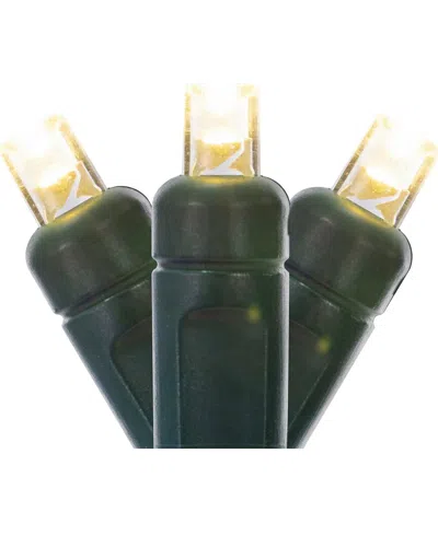 Vickerman 34ft Warm White Single Mold Wide Angle Led Christmas Light Set,  Green Wire