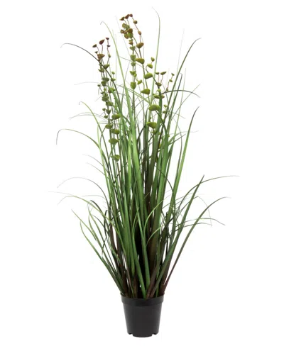 Vickerman 36" Artificial Potted Green Grass And Eucalyptus In No Color