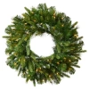 Vickerman 36" Cashmere Christmas Wreath With 100 Warm White Led Lights" In Green