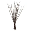 Vickerman 36 Plant In Brown