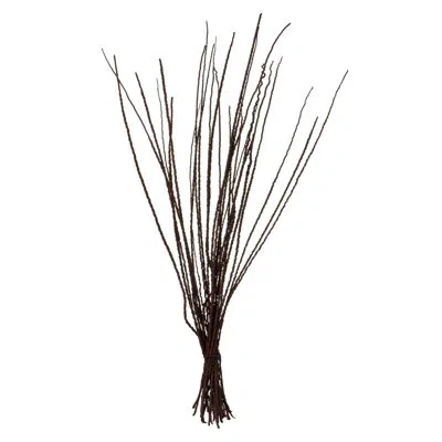 Vickerman 36 Plant In Brown