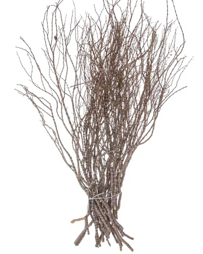 Vickerman 36in Tigerwood Bundle In Multi