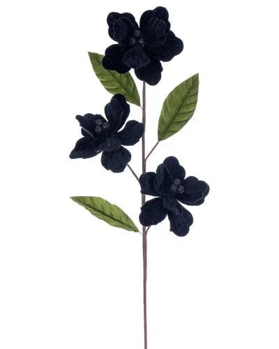 Vickerman 3pc Velvet Amary Flowers In Black