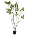 Vickerman 4' Artificial Green Potted Cotinus Coggygria Tree In No Color