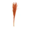 Vickerman 46 Plant In Orange
