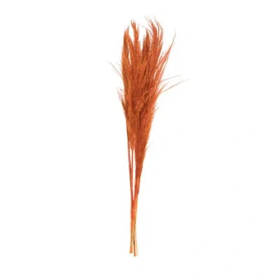 Vickerman 46 Plant In Orange