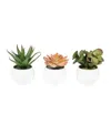VICKERMAN 5" ARTIFICIAL ASSORTED POTTED SUCCULENTS.