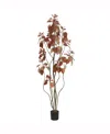 Vickerman 5' Artificial Red Potted Rogot Rurple Tree With 240 Leaves In No Color