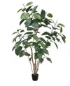 Vickerman 5' Potted Artificial Green Rubber Tree In No Color