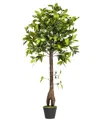 Vickerman 50" Artificial Potted Camellia Tree In No Color