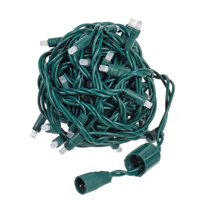 Vickerman 50 Light String Lights In Green