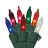 Vickerman 50 Light String Lights In Multicolor